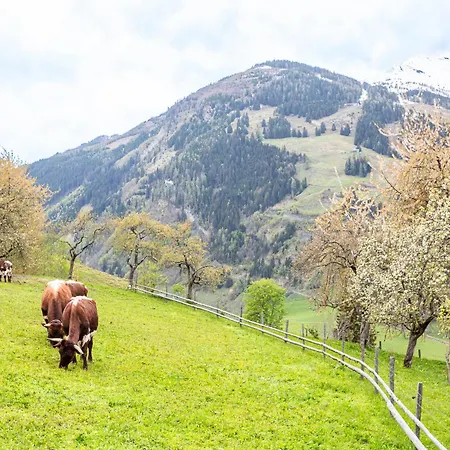 Langrieshof Apartament *