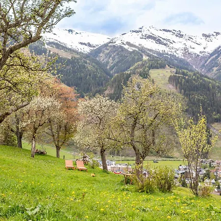 Apartament Langrieshof *