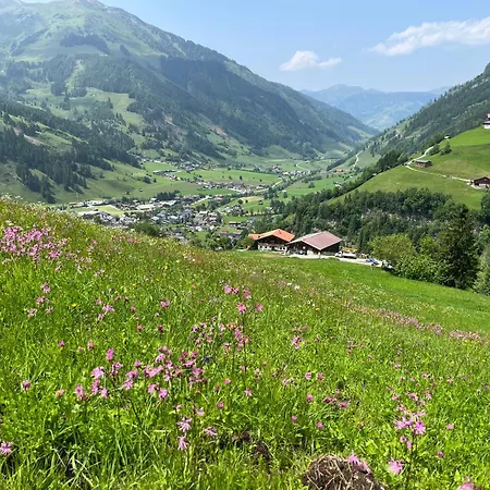 Langrieshof Apartament *