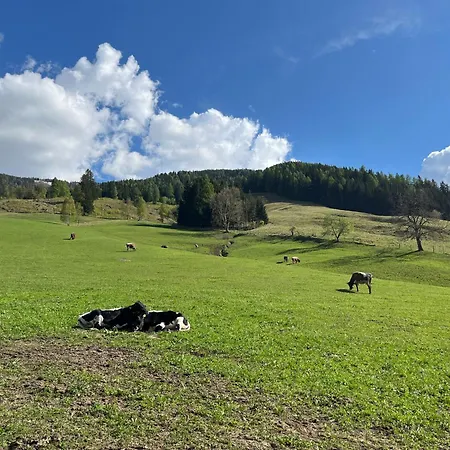 Langrieshof Apartament