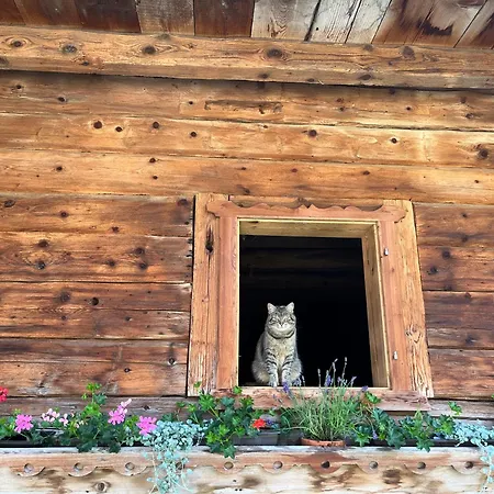 Langrieshof شقة راوريس