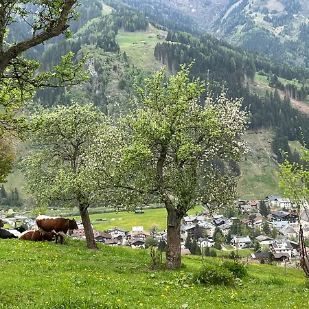 Langrieshof راوريس