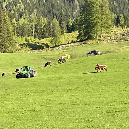 Langrieshof * راوريس