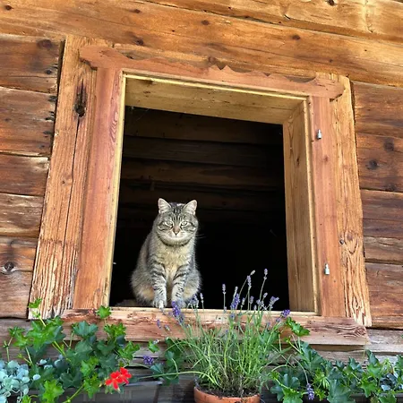 شقة Langrieshof *