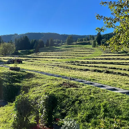 Langrieshof ラウリス