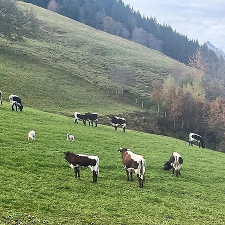 Appartamento Langrieshof