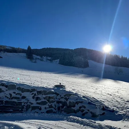 Langrieshof Appartamento *