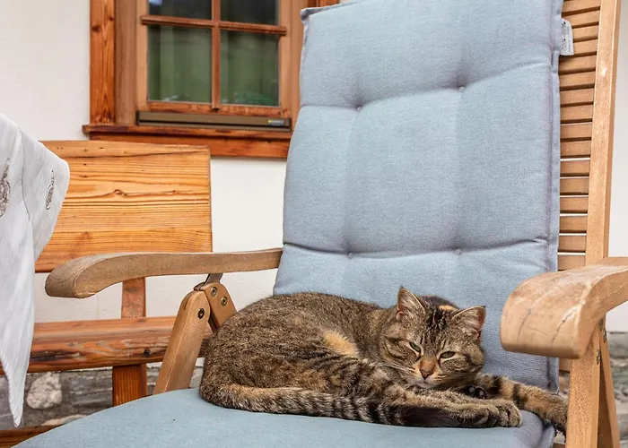 Langrieshof アパート