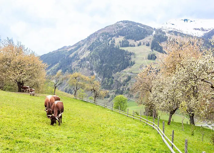 Langrieshof アパート *