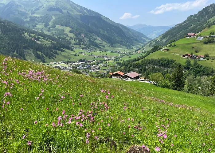 Langrieshof Apartmán *