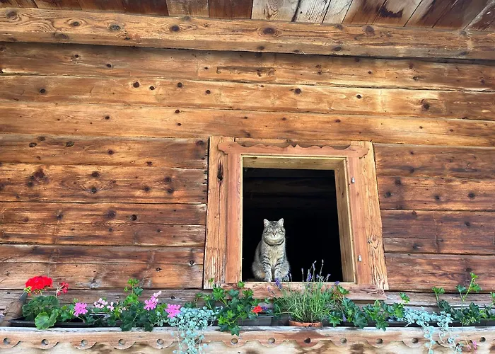 Langrieshof アパート ラウリス