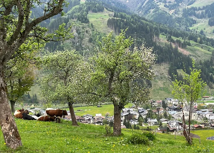 Langrieshof ラウリス