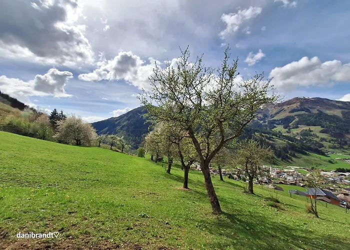 Langrieshof ラウリス