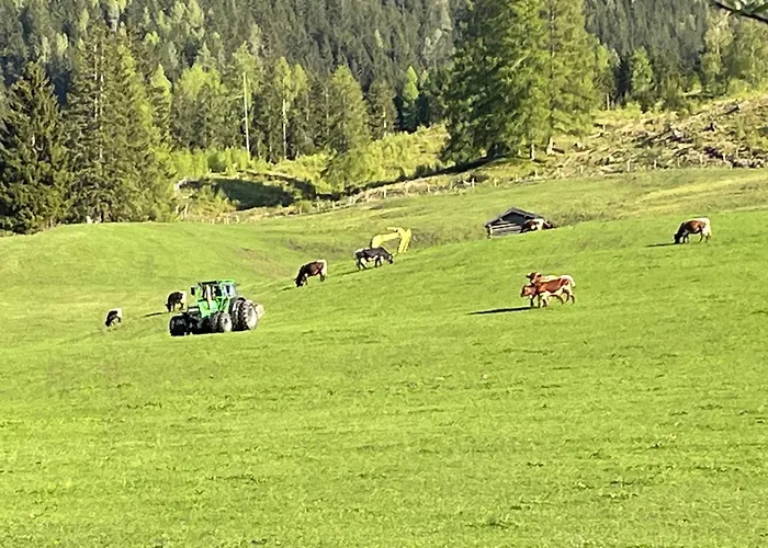 Langrieshof * ラウリス