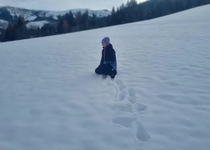 Langrieshof アパート *