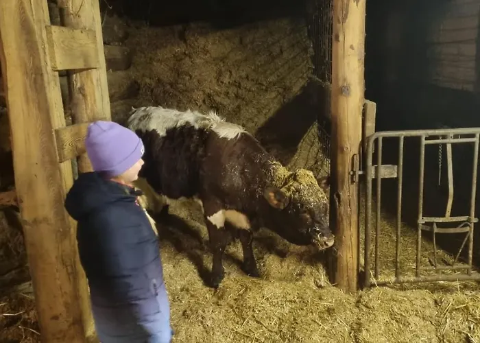 アパート Langrieshof