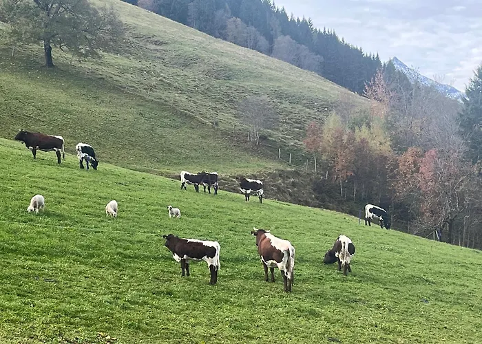 Appartamento Langrieshof