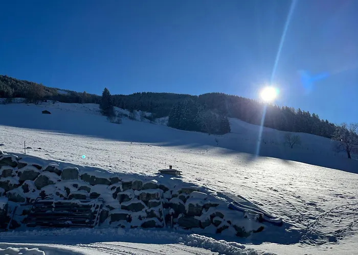 Langrieshof アパート *